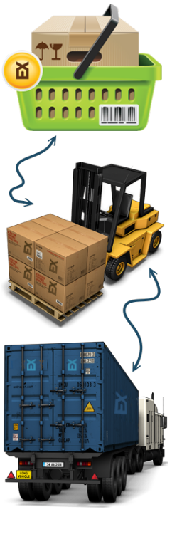 Blue Ex Carriers